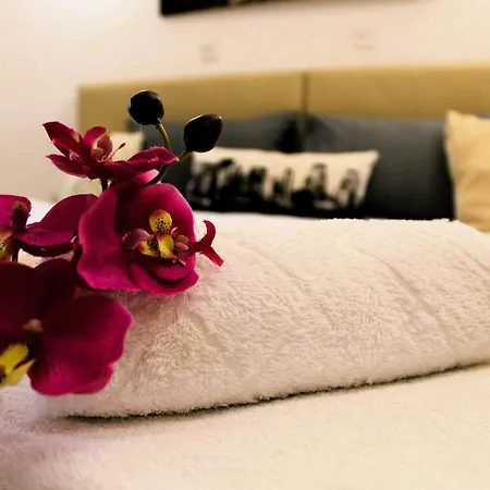 Silver Near Old Town * Μόσταρ