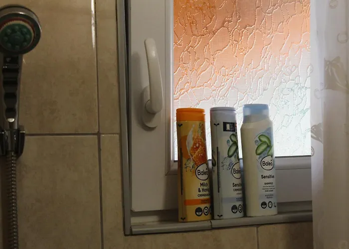 Silver Near Old Town * Mostar